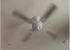 Ceiling Fan Rotation