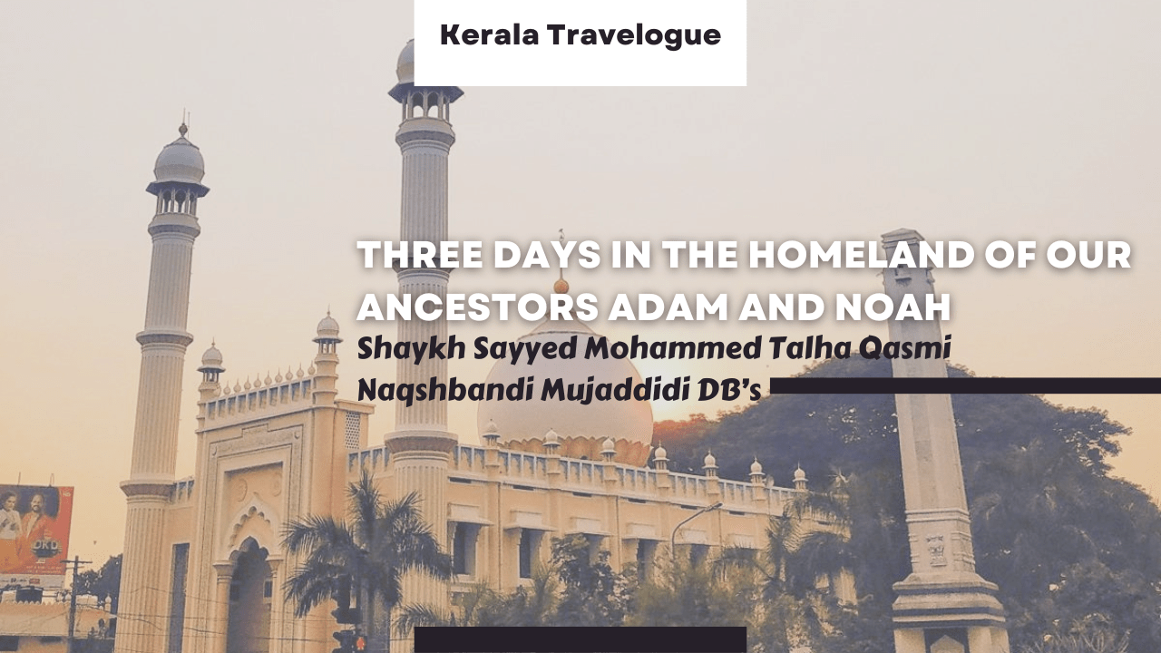 Kerela Travelogue